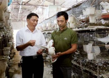 Ông Đặng Văn Thái