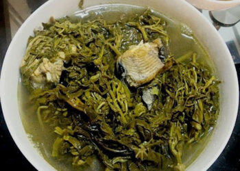 Rau sắn Phú Thọ