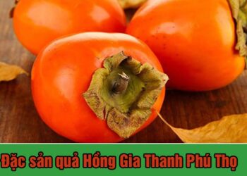 Hồng Gia Thanh,