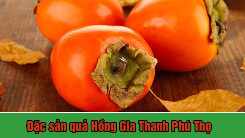 Hồng Gia Thanh,