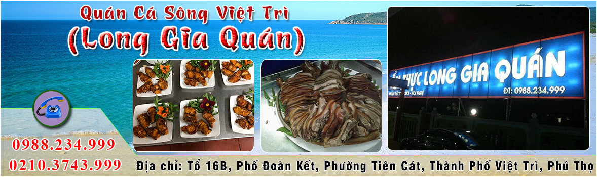 Top 3 nhà hàng cá lăng ngon nhất Việt Trì Phú Thọ