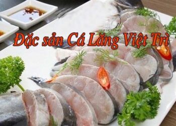 Cá Lăng Việt Trì