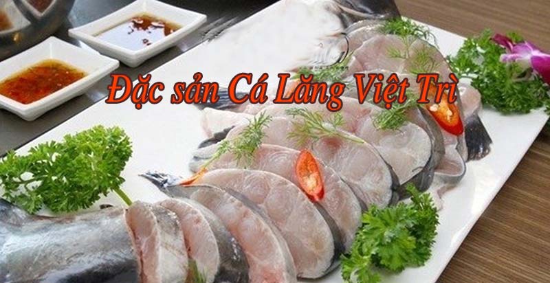 Cá Lăng Việt Trì
