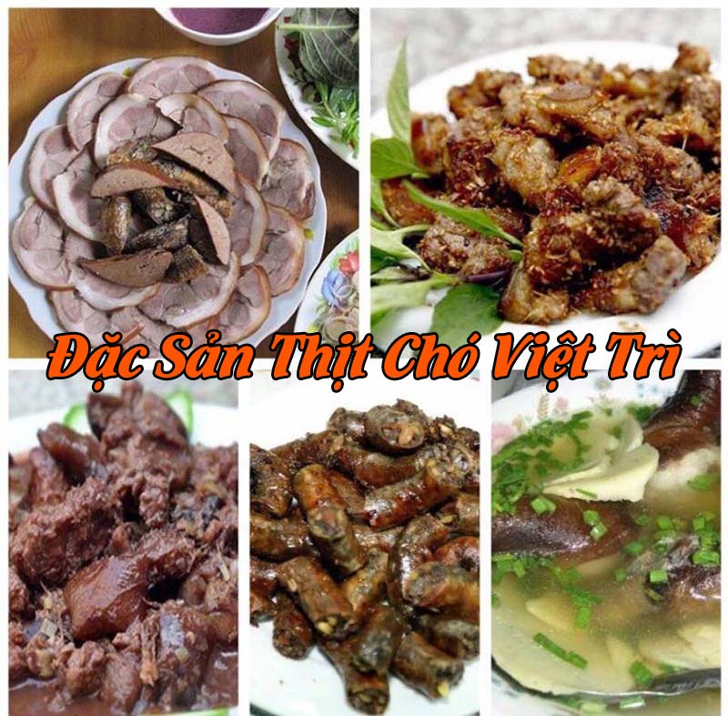 Thịt Chó Việt Trì
