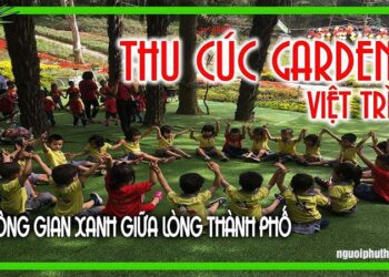 Thu Cúc Garden Việt Trì