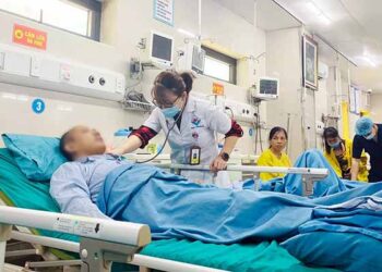 Người đàn ông ở Phú Thọ hôn mê, tím tái chỉ sau vài phút bị ong vàng đốt