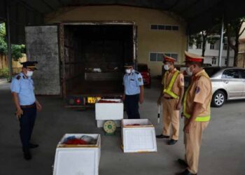 Kịp thời ngăn chặn 144 kg nội tạng động vật không rõ nguồn gốc xuất xứ, đang vận chuyển đi tiêu thụ