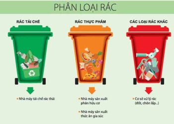 Từ ngày 25/8, không phân loại rác sinh hoạt bị phạt đến 1 triệu đồng