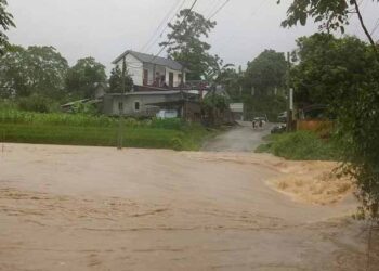 Phú Thọ: Mưa lớn gây ngập úng, sạt lở, nhấn chìm hoa màu